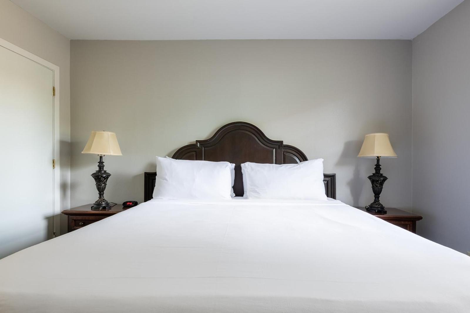 ניו אורלינס French Quarter Suites Hotel מראה חיצוני תמונה